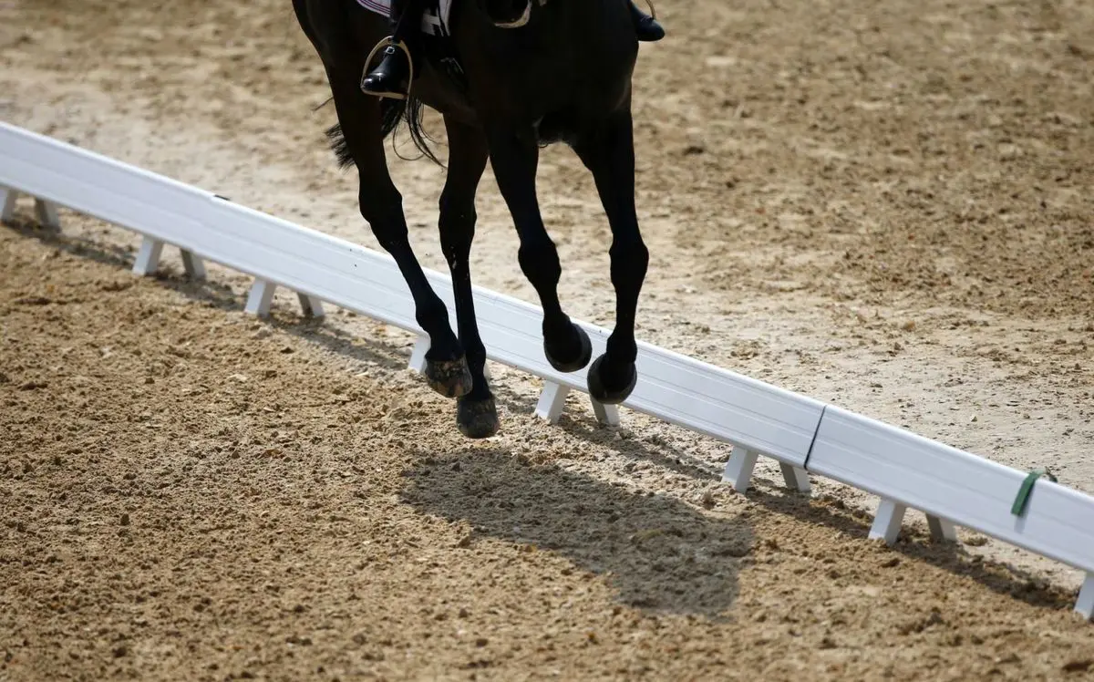 میزبان در سوارکاری یک مدال طلا کسب کرد