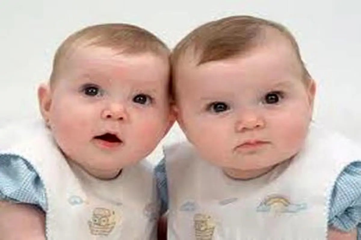 ۲۰ هزار چندقلو زایی در پنج ماه ابتدای سال ثبت شد