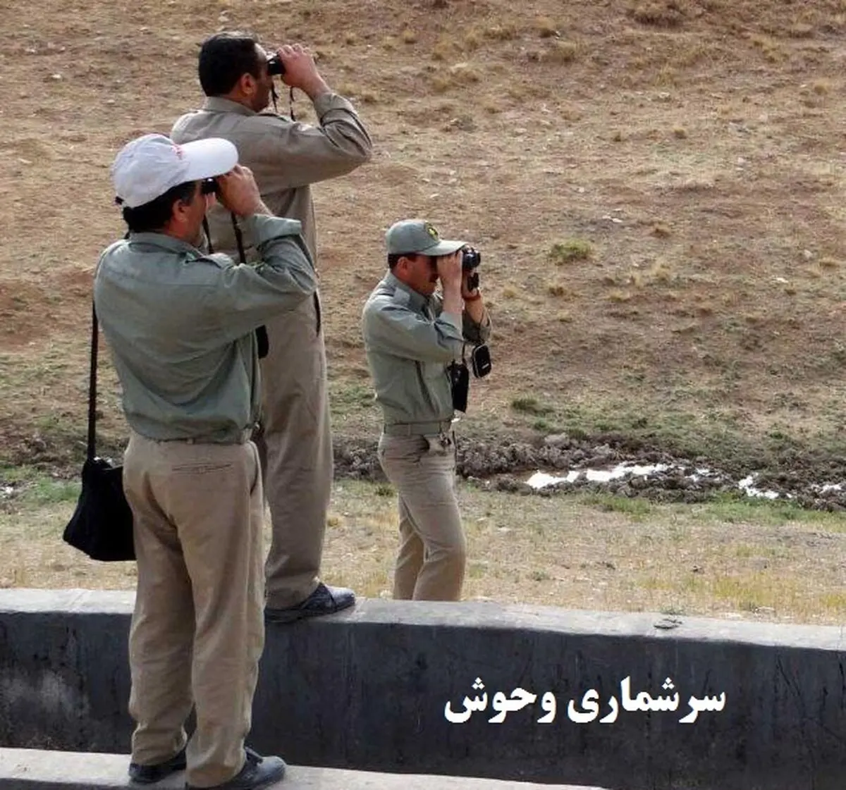 سرشماری تابستانه جمعیت پستانداران تهران پایان یافت