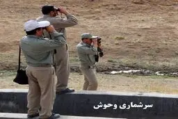 سرشماری تابستانه جمعیت پستانداران تهران پایان یافت