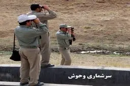 سرشماری تابستانه جمعیت پستانداران تهران پایان یافت