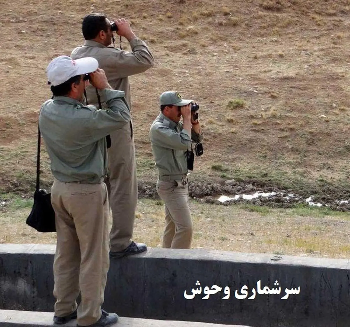 سرشماری تابستانه جمعیت پستانداران تهران پایان یافت