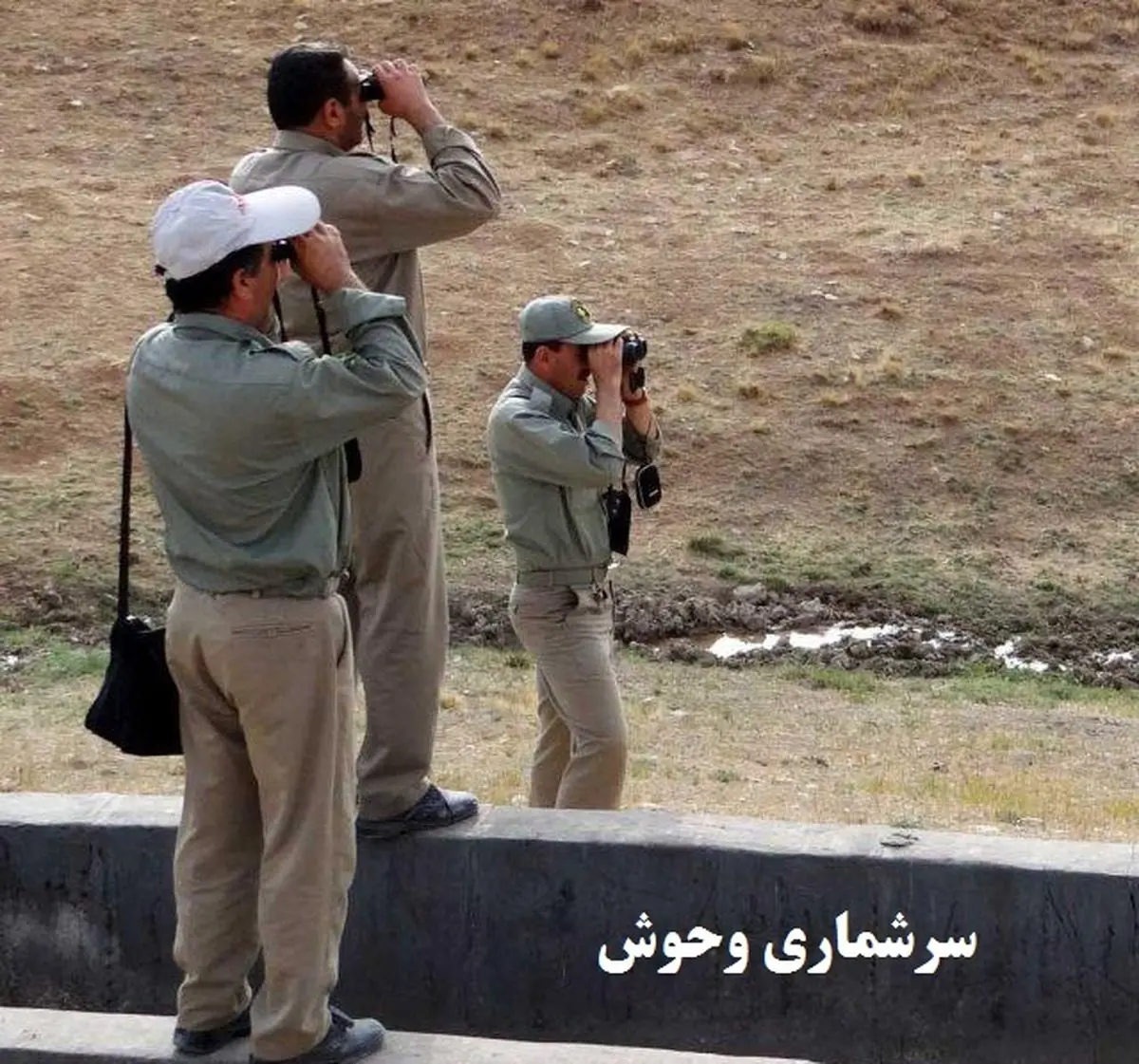 سرشماری تابستانه جمعیت پستانداران تهران پایان یافت