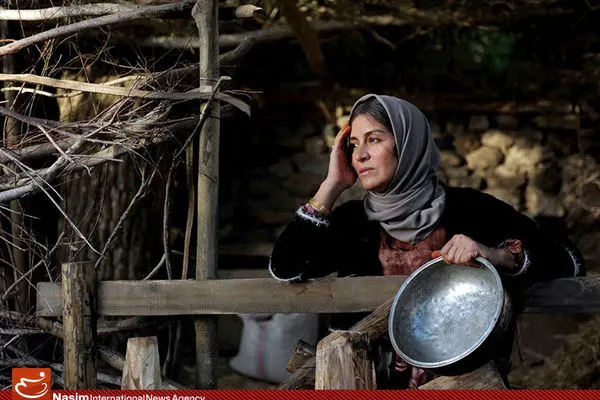 تماشاگران جشنواره مقاومت تا روز دوم 