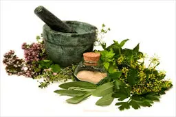 دومین جشنواره 