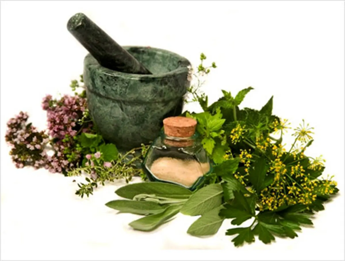 دومین جشنواره "گیاهان دارویی" هفت مهرماه آغاز می‌شود