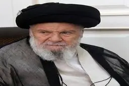 آیت‌الله موسوی اردبیلی: دین اسلام آموزه‌های والایی در باب محیط زیست دارد