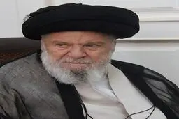 آیت‌الله موسوی اردبیلی: دین اسلام آموزه‌های والایی در باب محیط زیست دارد