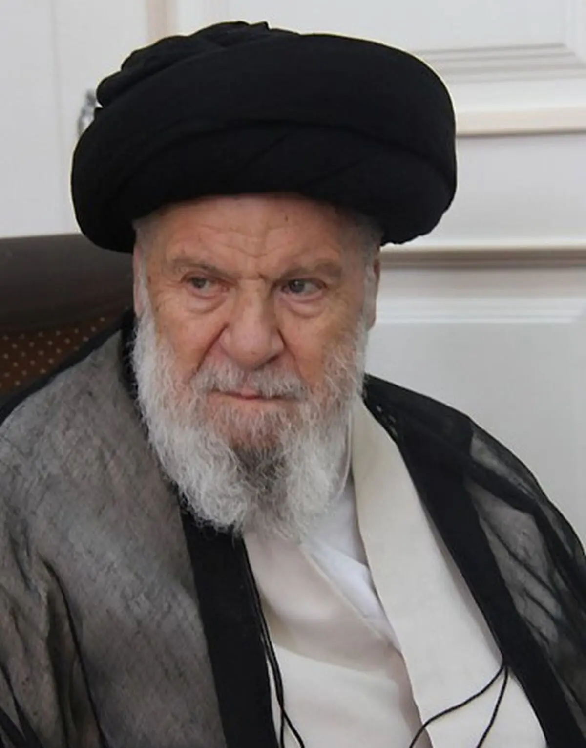 آیت‌الله موسوی اردبیلی: دین اسلام آموزه‌های والایی در باب محیط زیست دارد