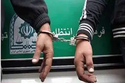 فرمانده نیروی انتظامی زاهدان: ۸۶ سارق در سطح شهرستان دستگیر شدند