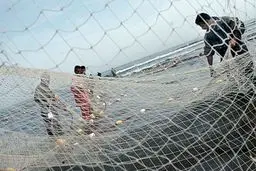 مدیر شیلات سیستان و بلوچستان: زیرساخت‌های سرمایه‌گذاری در صنعت شیلات چابهار فراهم است