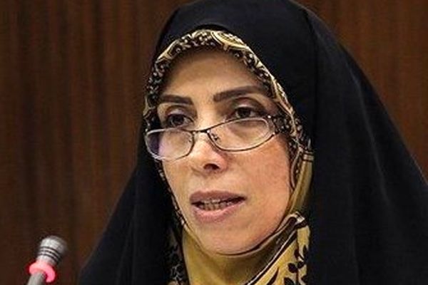 امین‌زاده: دولت شکایتی از رسانه‌ها نداشته است