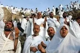 مدیر عملیات حج: همه حجاج ایرانی در صحت و سلامت کامل به سر می‌برند