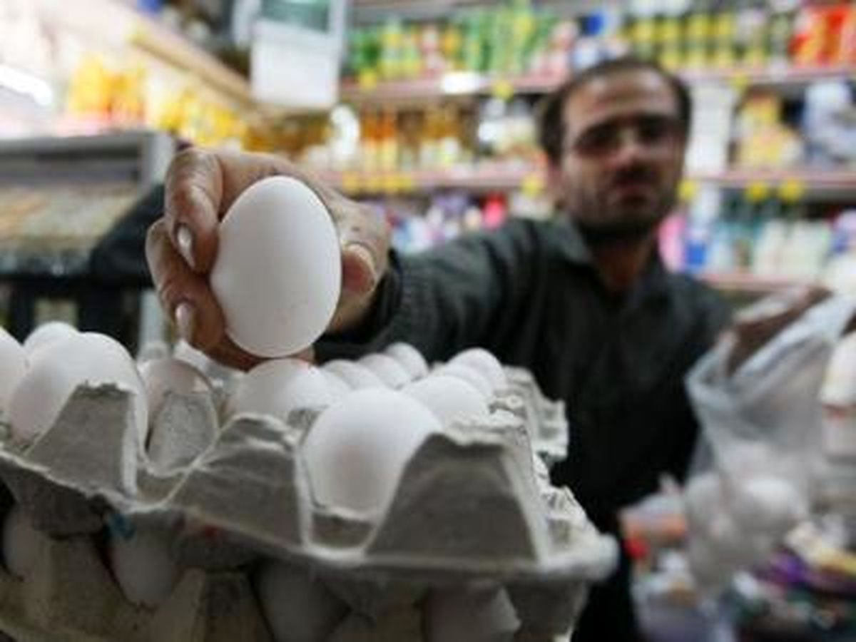 "صادرات تخم‌مرغ به روسیه نیاز به حمایت و پرداخت یارانه دولت دارد"