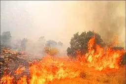 ۱۰۰ هکتار از مراتع 