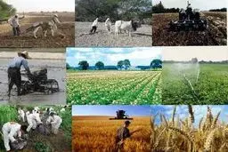 ۲۰۰ نماینده مجلس به رئیس‌‌جمهور برای تعیین نرخ خرید تضمینی محصولات کشاورزی نامه نوشتند