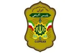 معاون مبارزه با سرقت پلیس آگاهی: با هماهنگی دستگاه قضایی، به سارقان حرفه‌ای کمتر مرخصی داده می‌شود