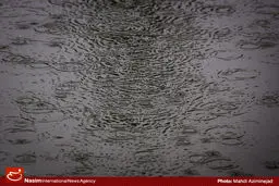 سازمان هواشناسی نسبت به آبگرفتگی معابر و احتمال سیلابی شدن رودخانه‌ها هشدار داد