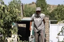 آثار برگزیده جشنواره مقاومت به نشست 