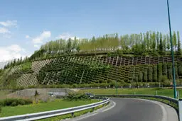 رئیس ستاد محیط زیست شهرداری تهران: در شرایط کم آبی مشکلی برای آبیاری فضای سبز نداریم