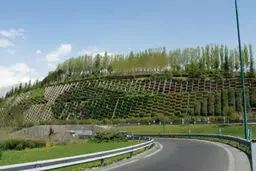 رئیس ستاد محیط زیست شهرداری تهران: در شرایط کم آبی مشکلی برای آبیاری فضای سبز نداریم