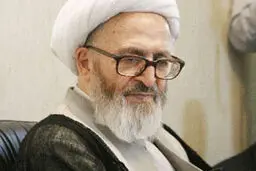 آیت‌الله سبحانی: کاهش جمعیت تشیع و انقلاب را تهدید می‌‌کند