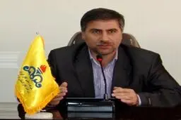 مدیرعامل شرکت گاز اردبیل: بیش از ۱۰ هزار خانوار از گاز طبیعی بهره‌مند شدند
