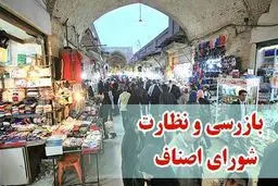 رئیس اتاق اصناف کرمانشاه: کاهش جرایم با کمک تشکل‌های مردمی بهترین راهکار است