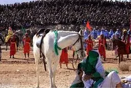 مسئول میراث فرهنگی فسا: بزرگترین تعزیه میدانی کشور در 