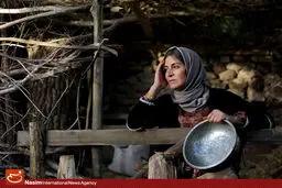 اولین آنونس 