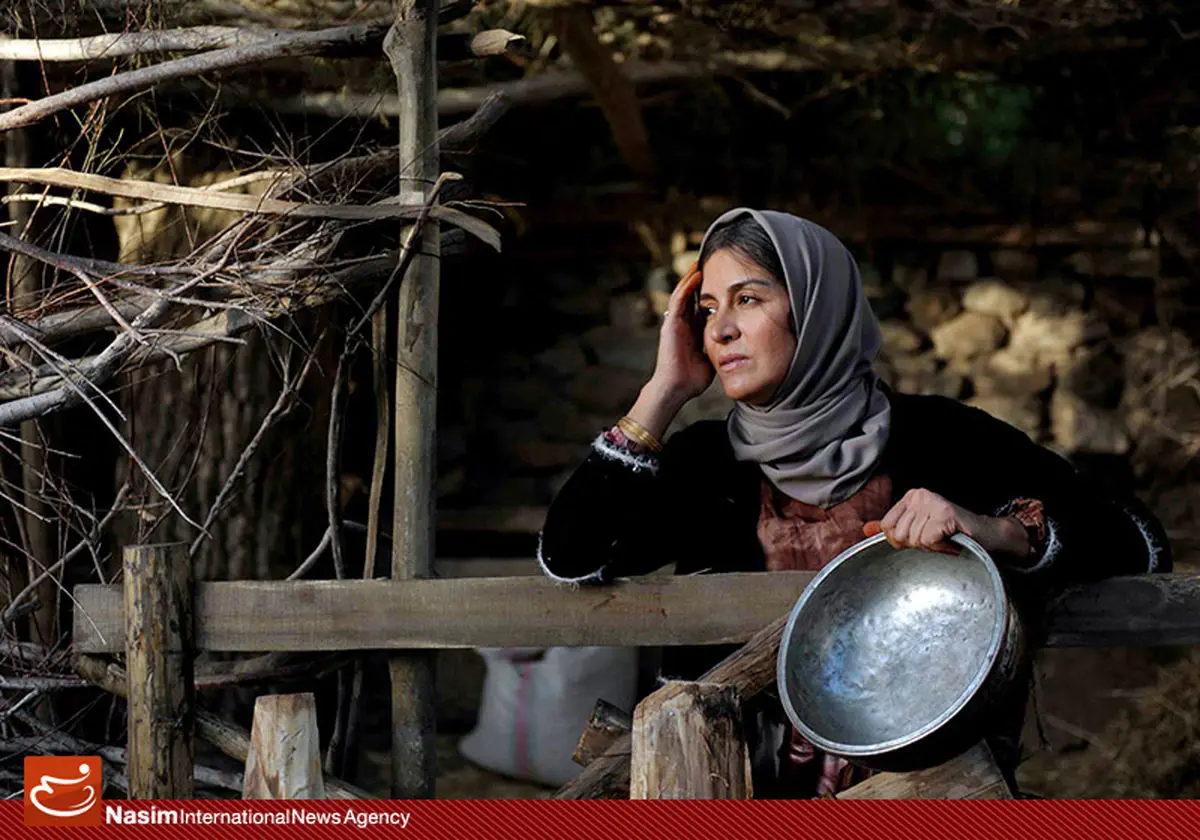 اولین آنونس "شیار ۱۴۳" به موسسه خیریه همدم تقدیم شد