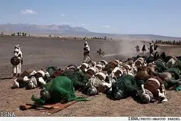 مسابقه عکس با موضوع نماز ظهر عاشورا 
