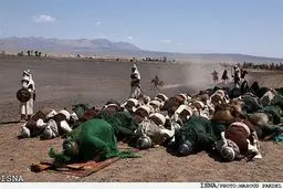 مسابقه عکس با موضوع نماز ظهر عاشورا 