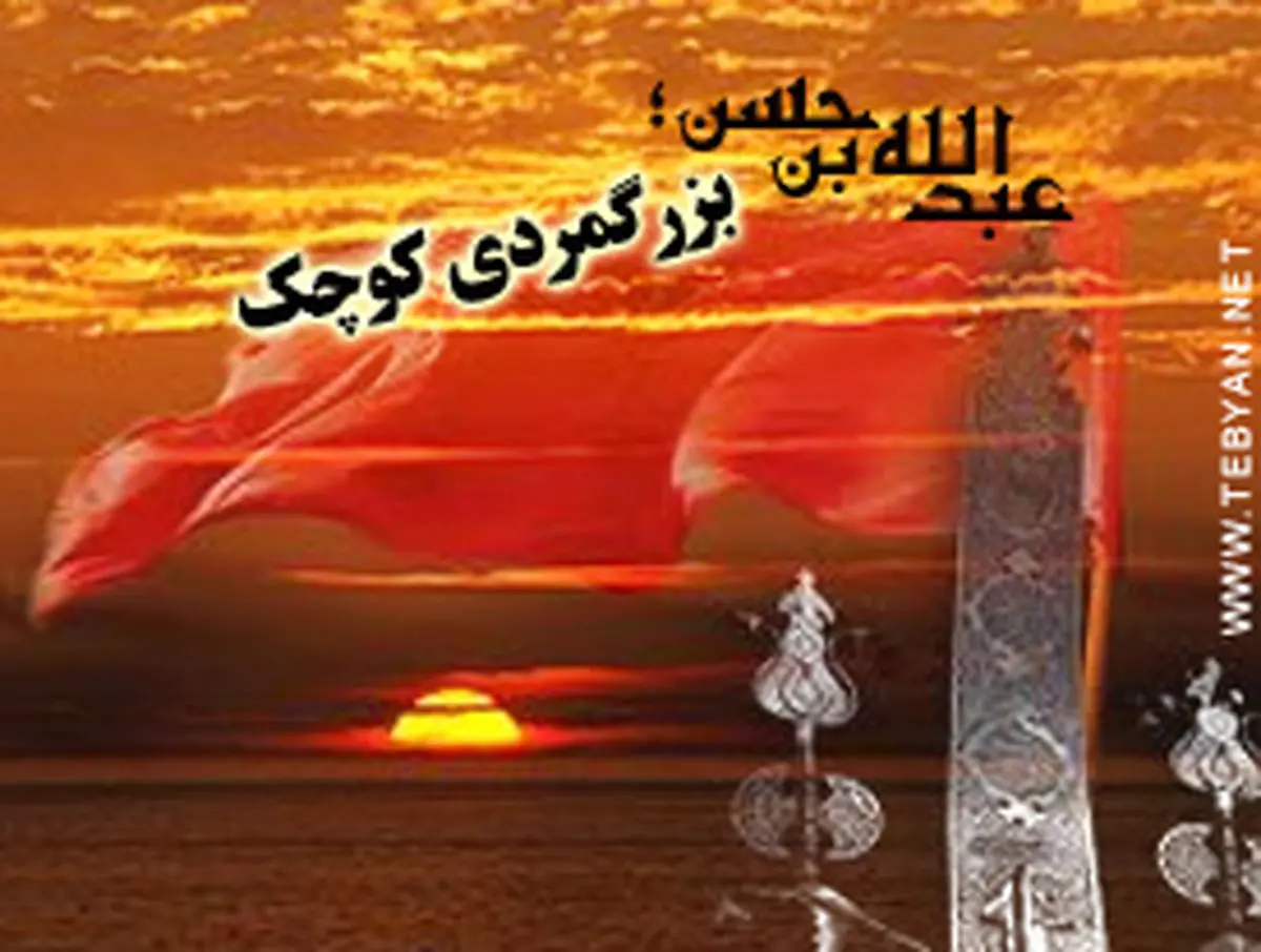 شعر:: آمدم دشمن نگوید از نگاه افتاده‌ای/