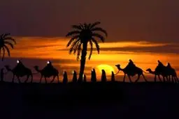 شعر:: با احتیاط لاله ی ما را پیاده کن  