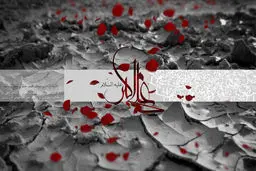 شعر:: ناگهان قلب حرم وا شد و یک مرد جوان