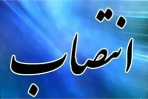 مشاور سیاست‌گذاری و توسعه وزارت کار منصوب شد