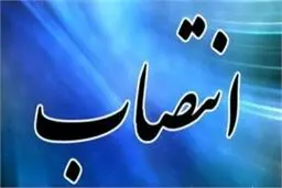 مشاور سیاست‌گذاری و توسعه وزارت کار منصوب شد