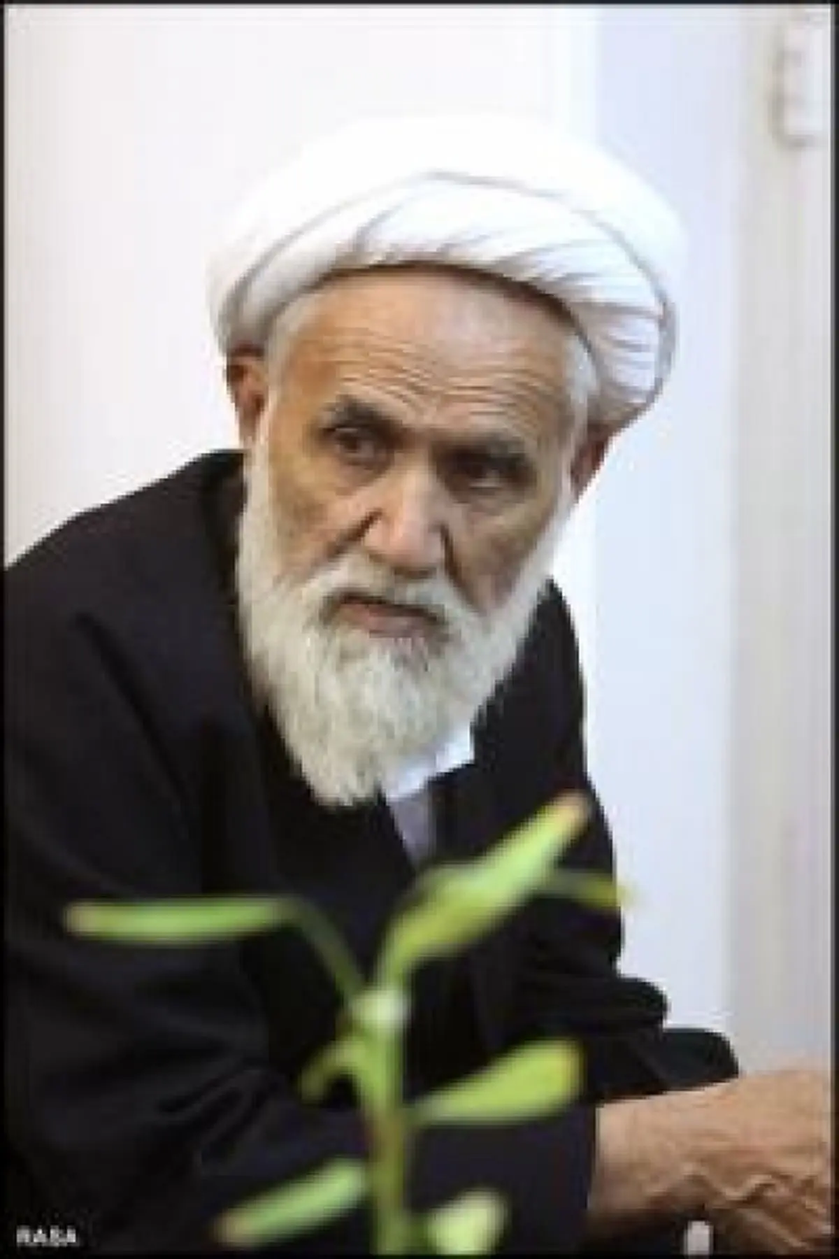 آیت‌الله حائری‌شیرازی: دعوت به راهپیمایی آرام و استمرار اعتراض، پذیرش تفریق است