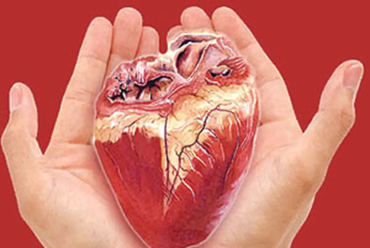 اعضای بدن جوان مرگ مغزی به سه بیمار زندگی دوباره بخشید