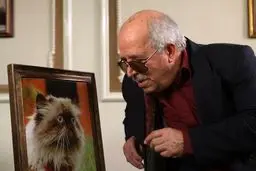 قاضی مرادی: قصه 