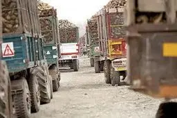 مدیر زراعت جهاد کشاورزی کرمانشاه: تولید چغندر قند استان امسال به ۴۱۰ هزار تن می‌رسد