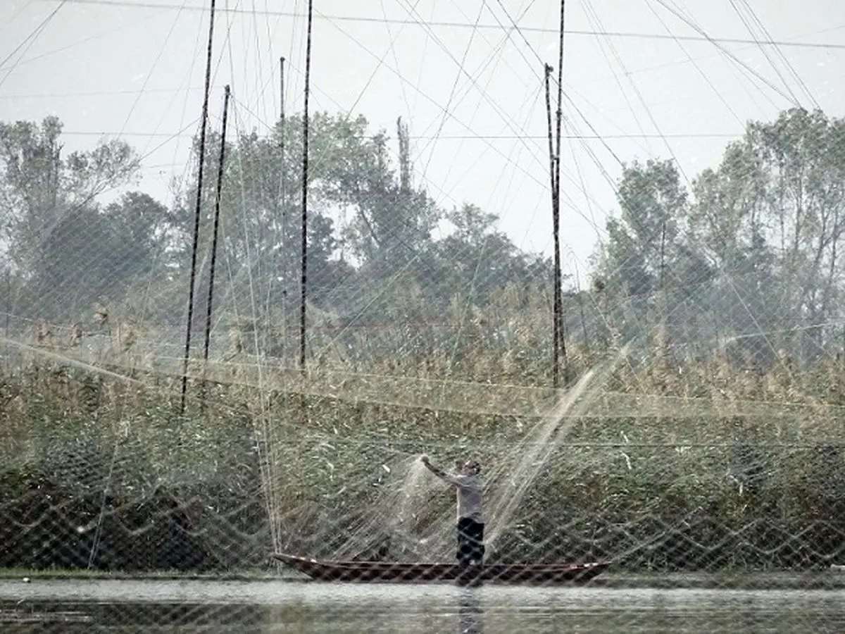 "طی یک برنامه پنج ساله از شکار پرندگان مهاجر در فریدونکنار جلوگیری می‌شود"
