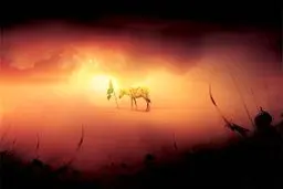 یاران رسول اکرم (ص) که در کربلا به شهادت رسیدند