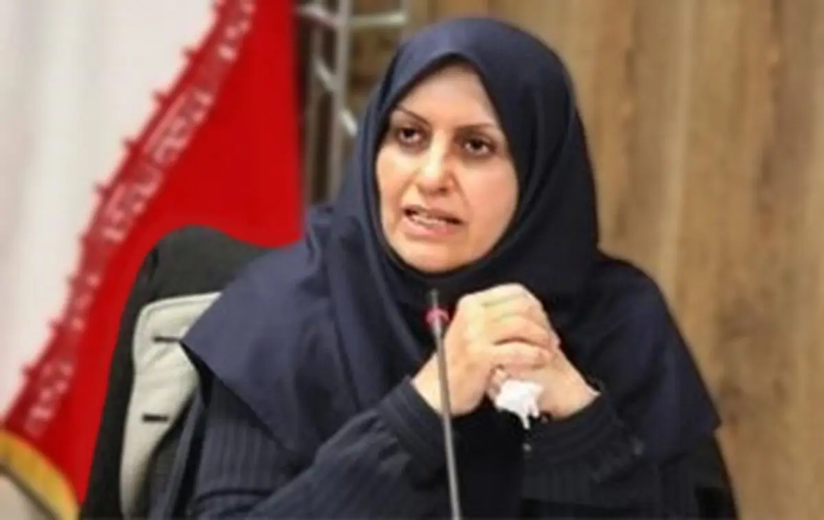 رئیس سازمان ملی استاندارد: کیفیت و استاندارد یکسان نیستند