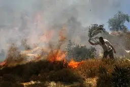 شهرک‌نشینان درختان زیتون فلسطینیان را آتش می‌زنند