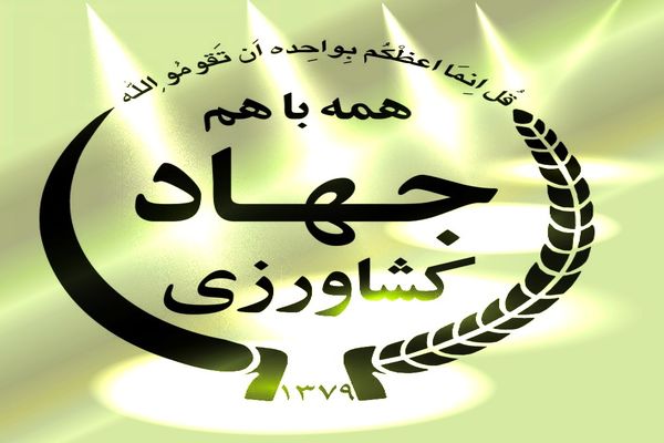 مدیر جهاد کشاورزی ایرانشهر: ۵۰۰ هکتار از اراضی شهرستان به کشت گیاه کلزا اختصاص دارد