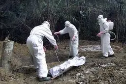 سازمان بهداشت جهانی: ابولا در حال گسترش و حمایت جهانی از مبارزه با آن بسیار محدود است