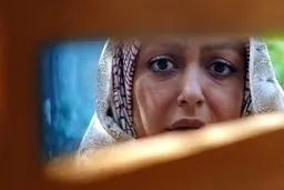 مهدی فخیم‌زاده نیمی از سریال 