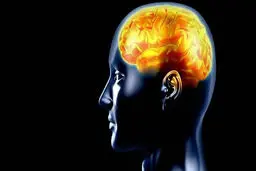 رئیس هیأت مدیره انجمن صرع: در تلاشیم 